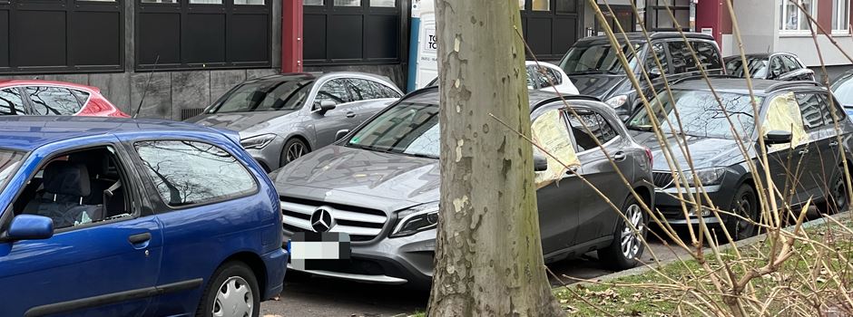 Autoscheiben in Mainz eingeschlagen – Täter versteckt sich in Mülltonne