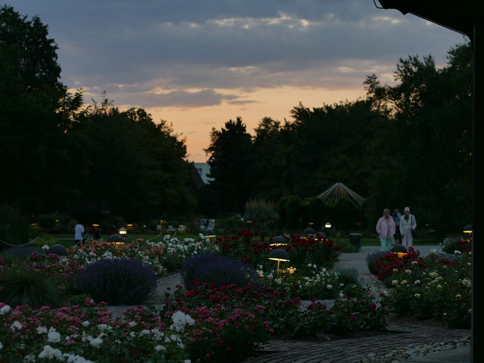 Botanischer Garten Augsburg Lichterzauber 2019