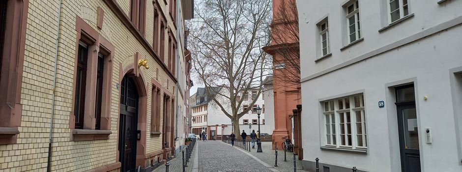 Wegen Bauarbeiten: Straße in Mainz teilweise von Internet abgeschnitten