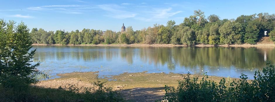 Niedrigwasser am Rhein: Wann es gefährlich wird