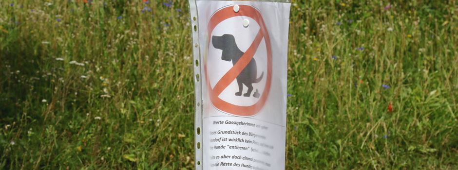 Mondorf: Reaktivierte öffentliche Parkanlage wird als Hundeklo benutzt