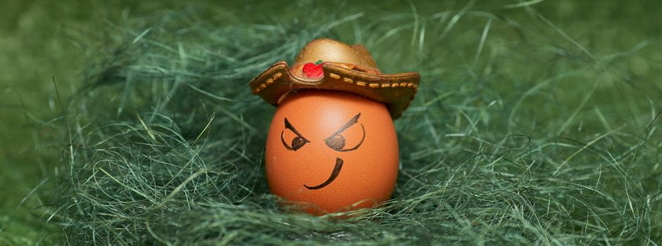 Geier sucht Nest für seine Eier: Die lustigsten Jodel aus Augsburg