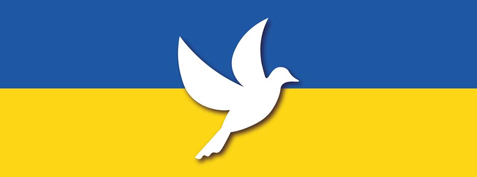 Ukraine-Geflüchtete: Landkreis Mainz-Bingen bereitet sich vor