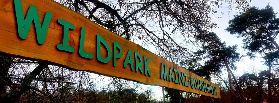 Wegen Vogelgrippe: Mainzer Wildpark nimmt keine Vögel mehr auf