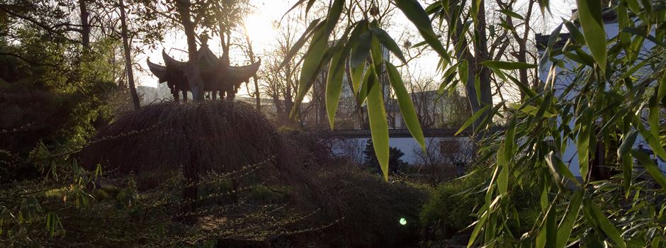 So Geht Es Mit Dem Chinesischen Garten Weiter