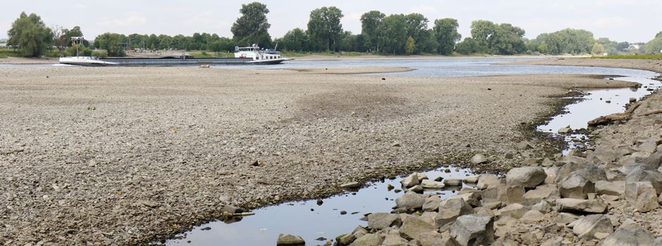 Rheinpegel auf Talfahrt: Niedrigwasser gefährdet Binnenschifffahrt