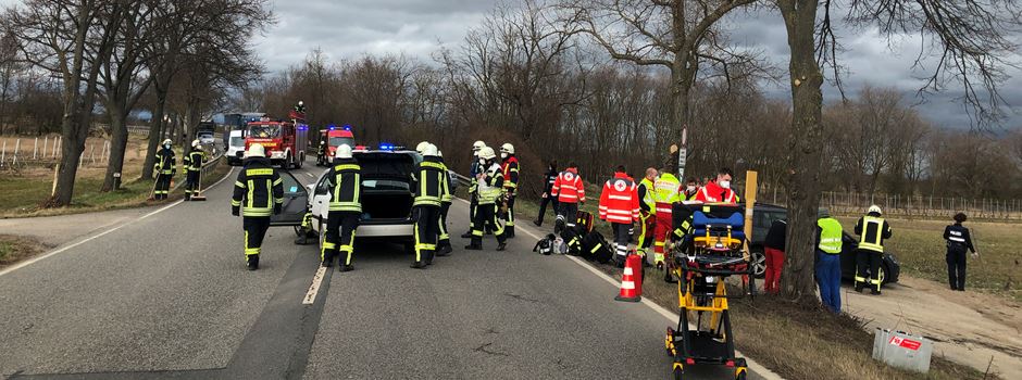 Unfall auf der B9 zwischen Worms und Mainz