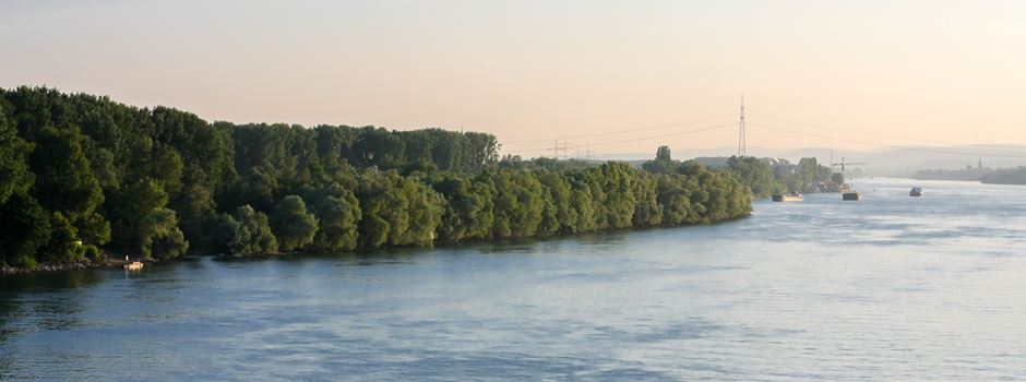 Diese Strände gibt es am Rhein in Wiesbaden und Umgebung