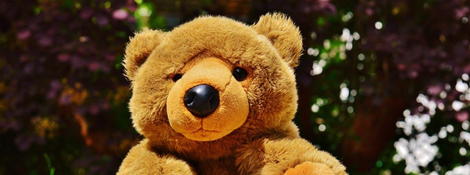 Riesen-Teddybär auf Bahngleisen: Zugführer legt Notbremsung hin