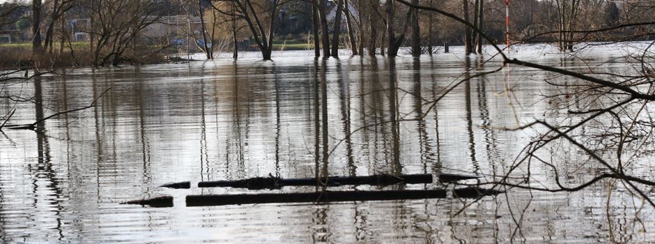 Hochwasser sorgt für tonnenweise Unrat an Niederkassels Ufern