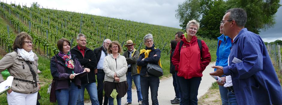 Weinkulturführung am Oppenheimer Herrenberg - jetzt online buchbar