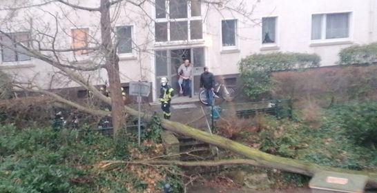 Umgestürzte Bäume, lose Dachteile: Feuerwehr zieht Bilanz