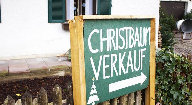 Bio-Weihnachtsbäume aus der Augsburger Region