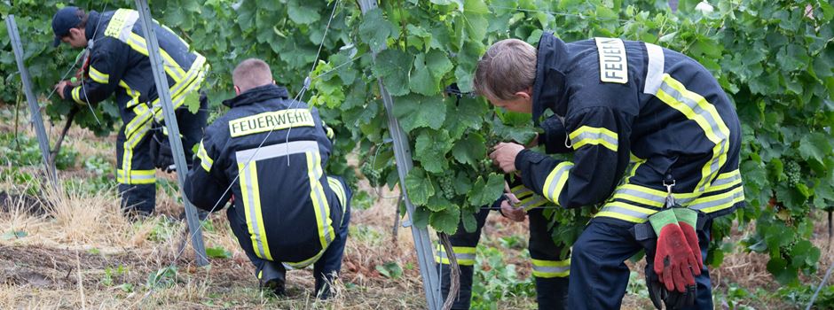 Freiwillige Feuerwehr Mainz-Hechtsheim bringt besonderen Wein heraus