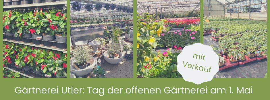 Gärtnerei Utler: Tag der offenen Gärtnerei am 1. Mai - mit Verkauf