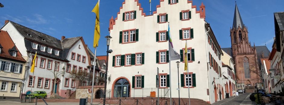 Stadt Oppenheim sucht FSJ Kraft ab 1. September