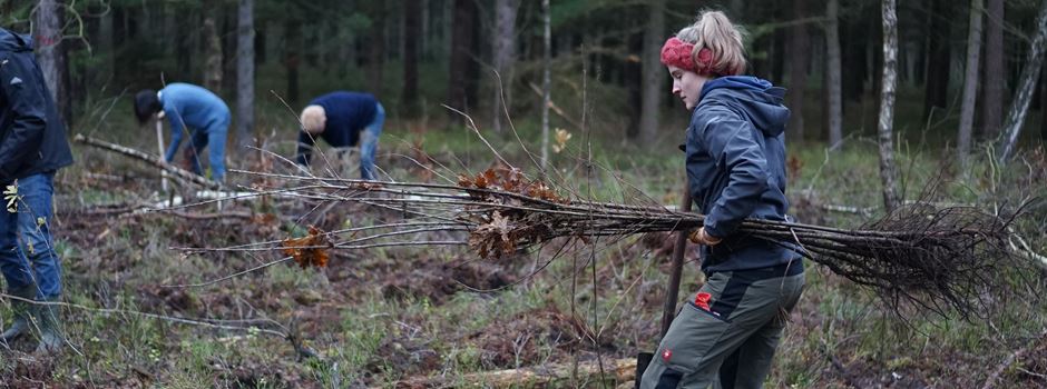 Waldumbauprojekt am Oeninger Moor: Schüler packten fleißig mit an