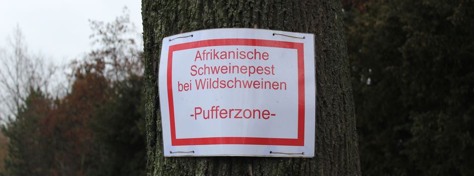 Frankfurt sperrt Wald und Wiesen