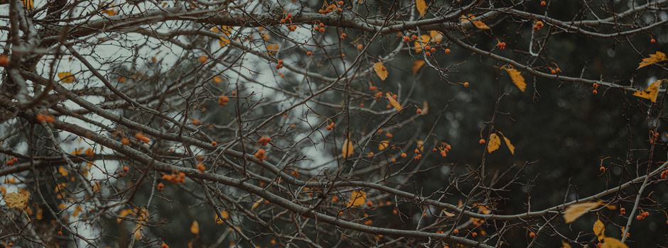 Wintermüdigkeit und Saisonal Abhängige Depression: Was man dagegen tun kann