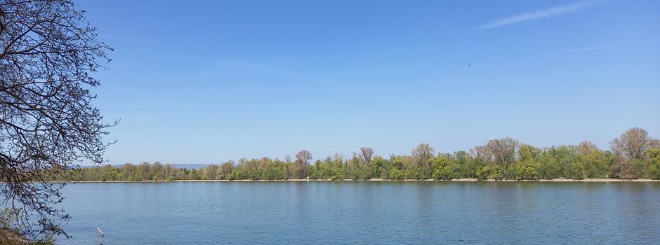 Mann beobachtet Pärchen am Rheinufer und fasst sein Glied an