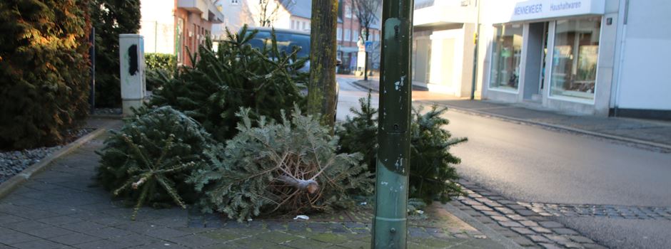 Weihnachtsbaum-Abfuhr läuft bereits - was tun, wenn Termin verpasst?
