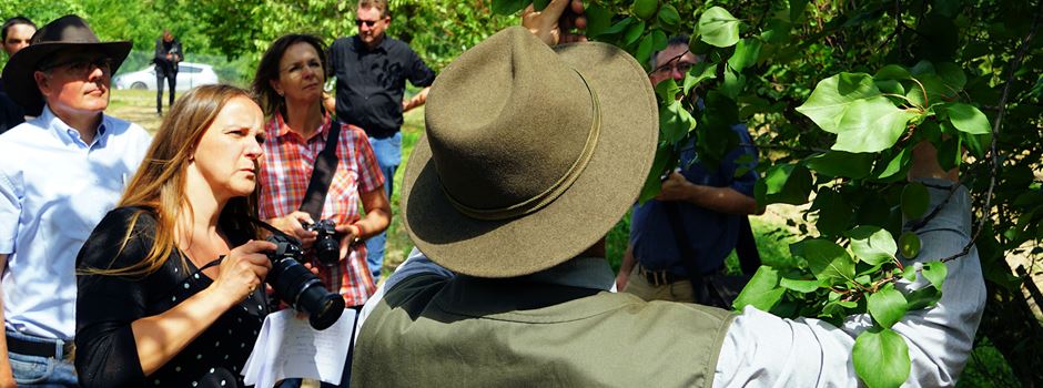 Abgeordnete der Bündnisgrünen besuchen Obstbauversuchsanstalt