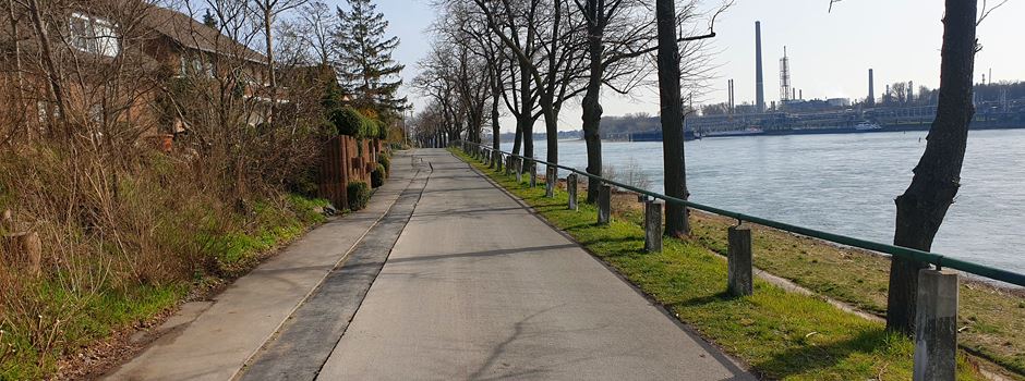 Fahrradstraßen in Niederkassel: Modell und erste Umsetzung beschlossen