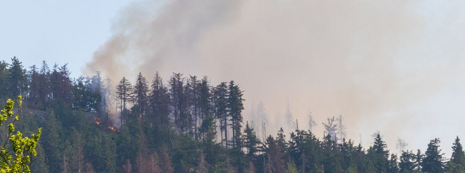 Verheerender Waldbrand im Taunus: Feuerwehr Wiesbaden im Dauereinsatz