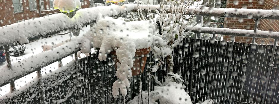 Aprilwetter: Schnee in Mainz ab Freitagnachmittag