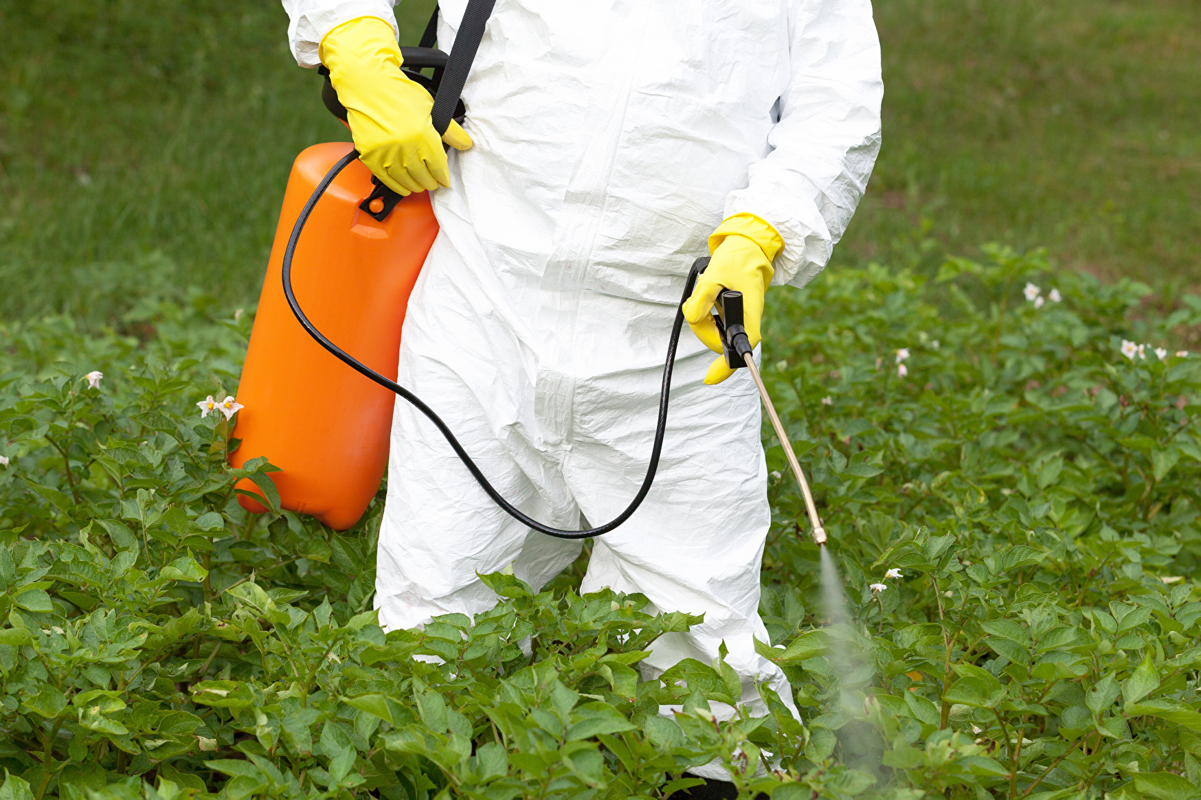 Lebensmittelrückrufe Wegen Ethylenoxid-Belastung