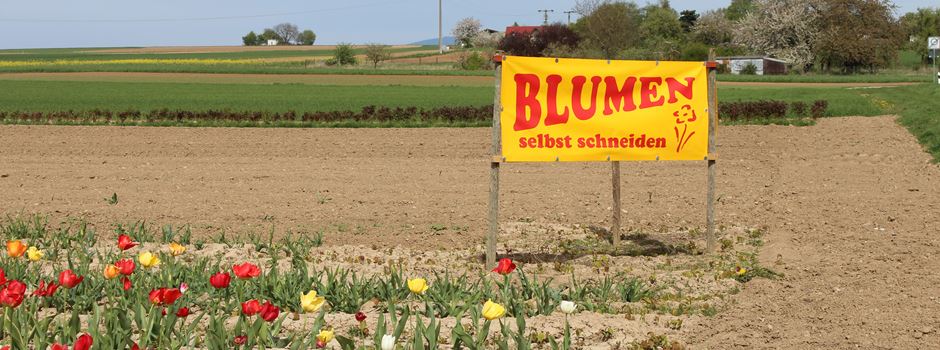 Wo kann man in Wiesbaden selbst Blumen pflücken?