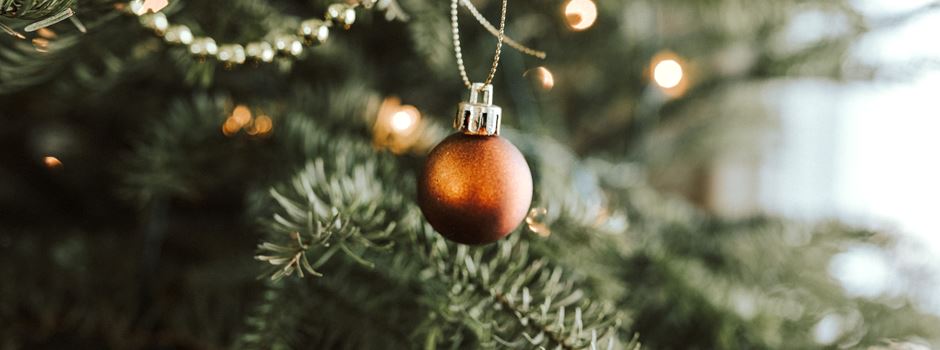 Puls!-Listing: Wo gibt es schöne Weihnachtsbäume in Niederkassel?