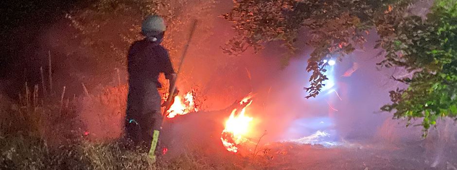 Wegen Trockenheit: Feuerwehr rückt zu mehreren Bränden aus