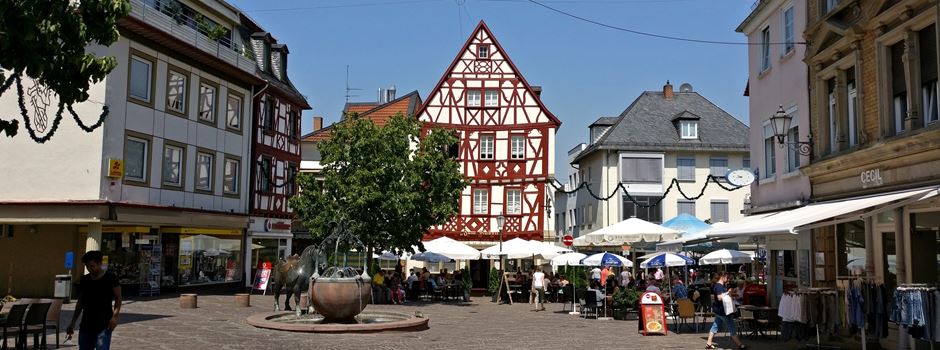 How much money Alzey earns from tourism