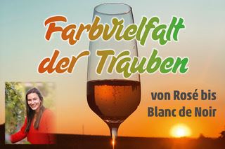Große Qualitäts-Weinprobe am Donnerstag, 4. August, im Niersteiner Park