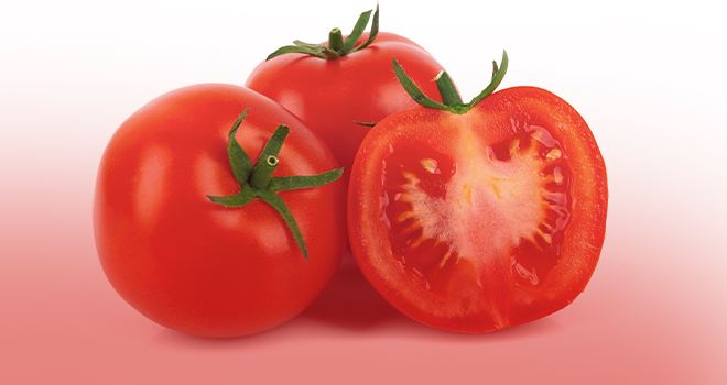 Die Tomate – Tipps + Tricks