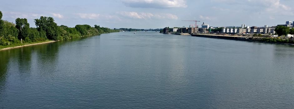 1232 km in 24 Tagen: Rheinschwimmer erreicht Mainz