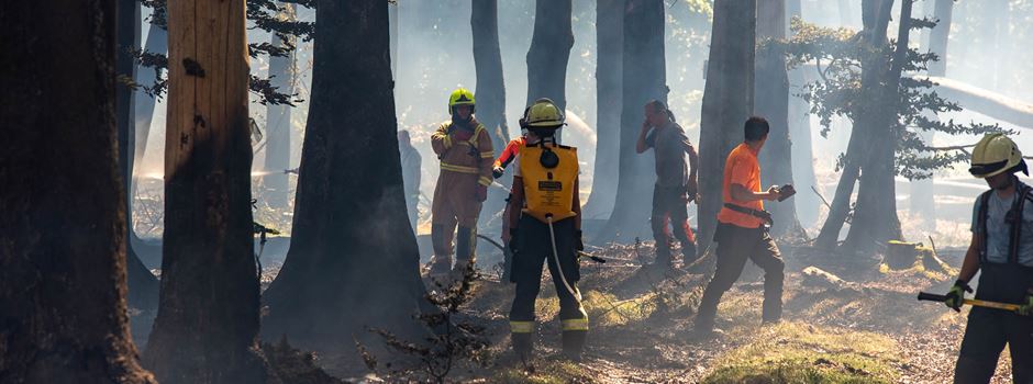 Großbrand am Feldberg: Einsatzkräfte müssen brennende Bäume fällen